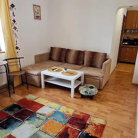 Apartment Victoriei One - In The Heart Of The