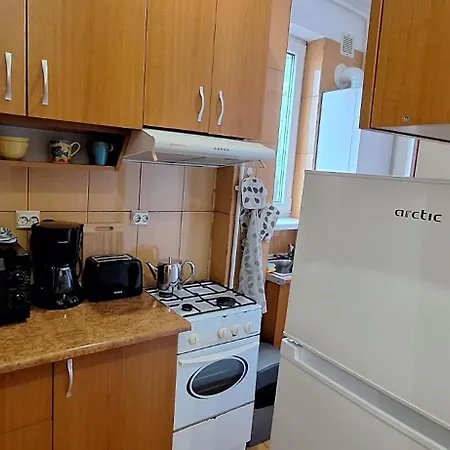 Apartment Victoriei One - In The Heart Of The *