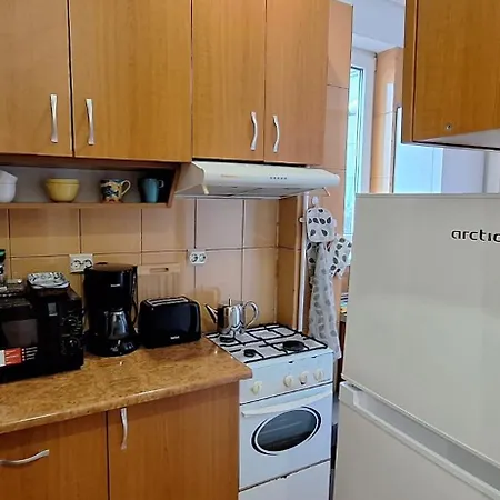 Victoriei One - In The Heart Of The Appartamento Bucarest