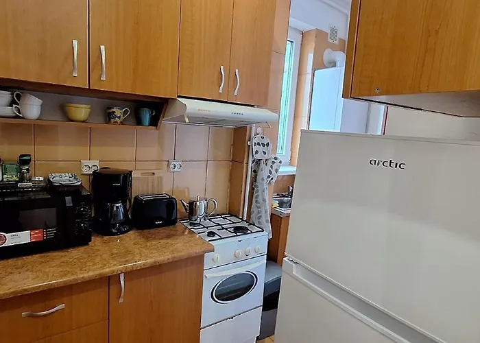 Apartament Victoriei One - In The Heart Of The *